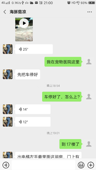 验证南山超大臀海豚